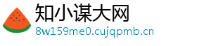 知小谋大网